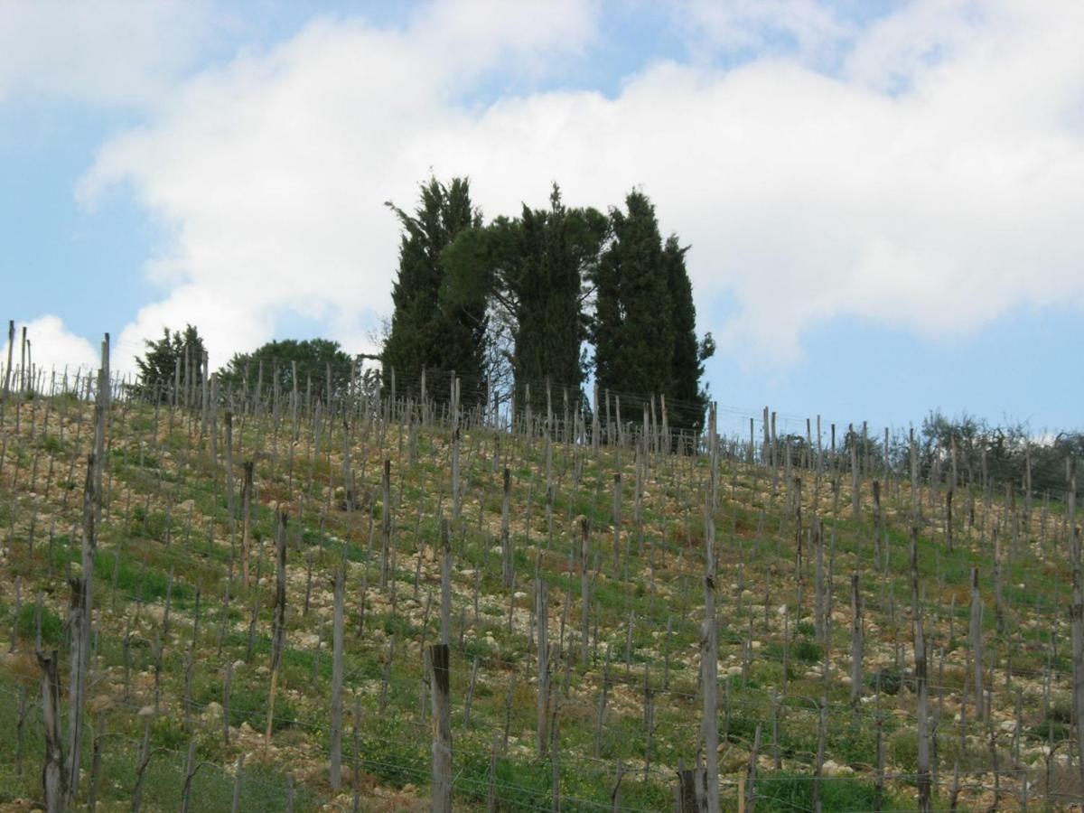 Casa vacanze Poggio Borgoni