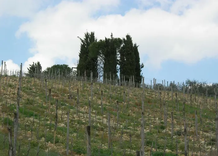 Poggio Borgoni