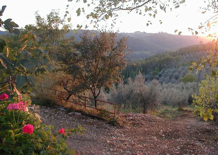 Poggio Borgoni
