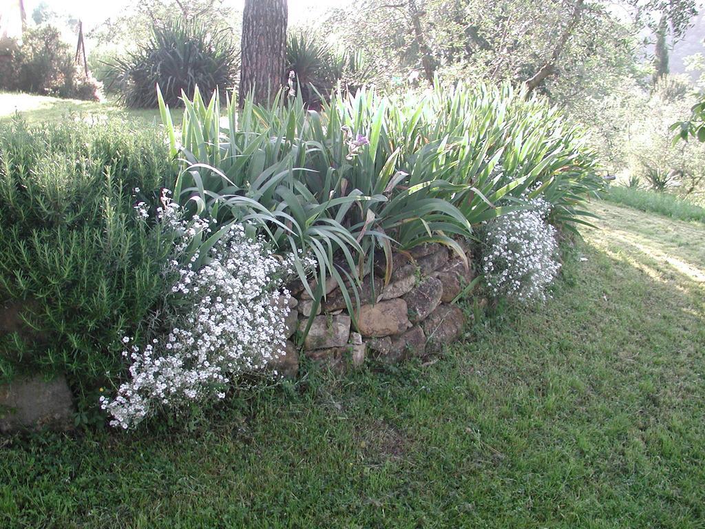 Holiday home Poggio Borgoni Mercatale Val Di Pesa